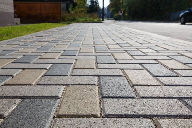 Best Professional Driveway Pavers  in Scobey, MT